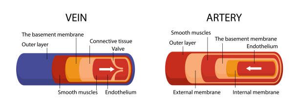 penyebab-trombosis-arteri